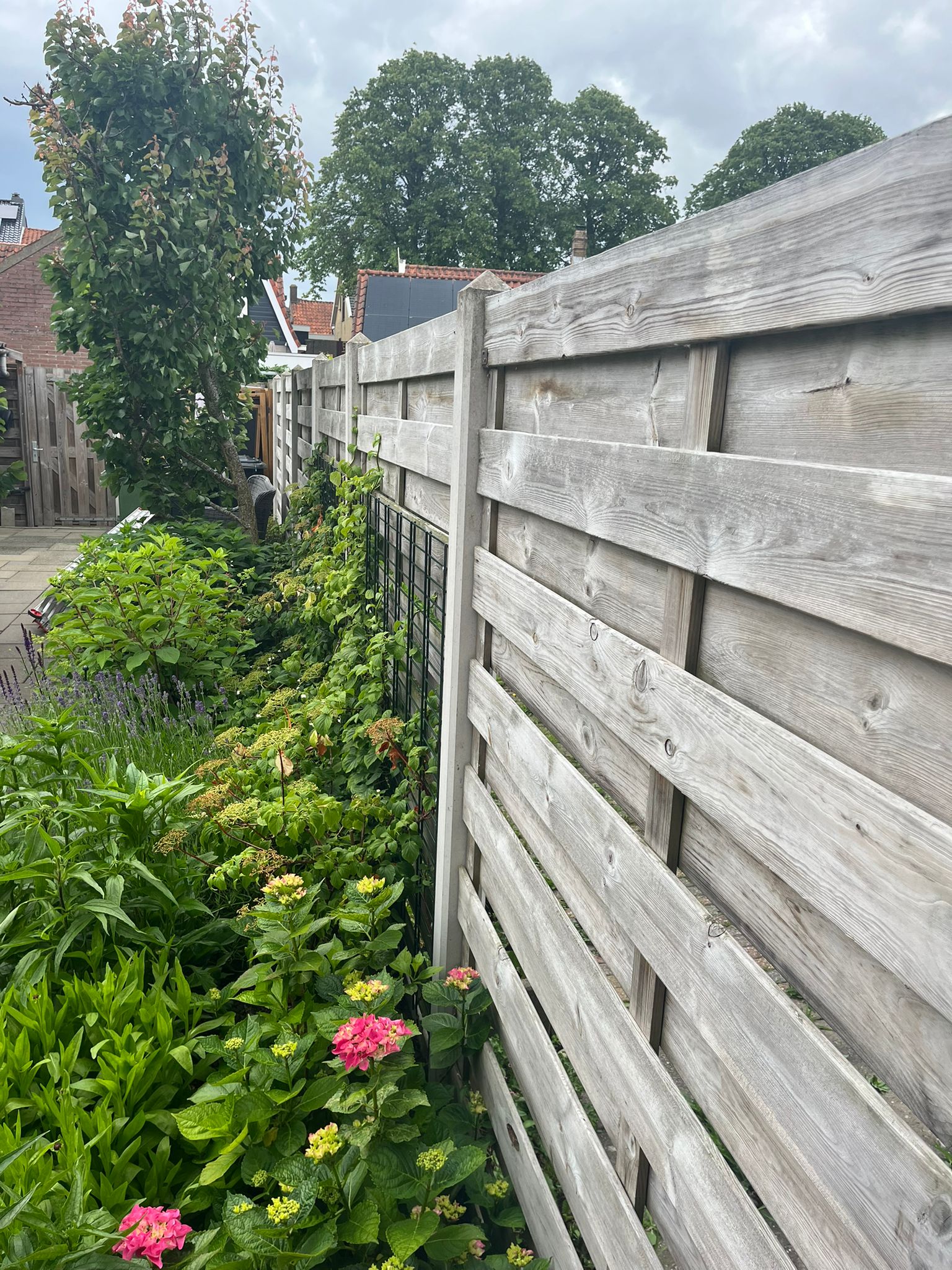 Prinses Irenestraat 11