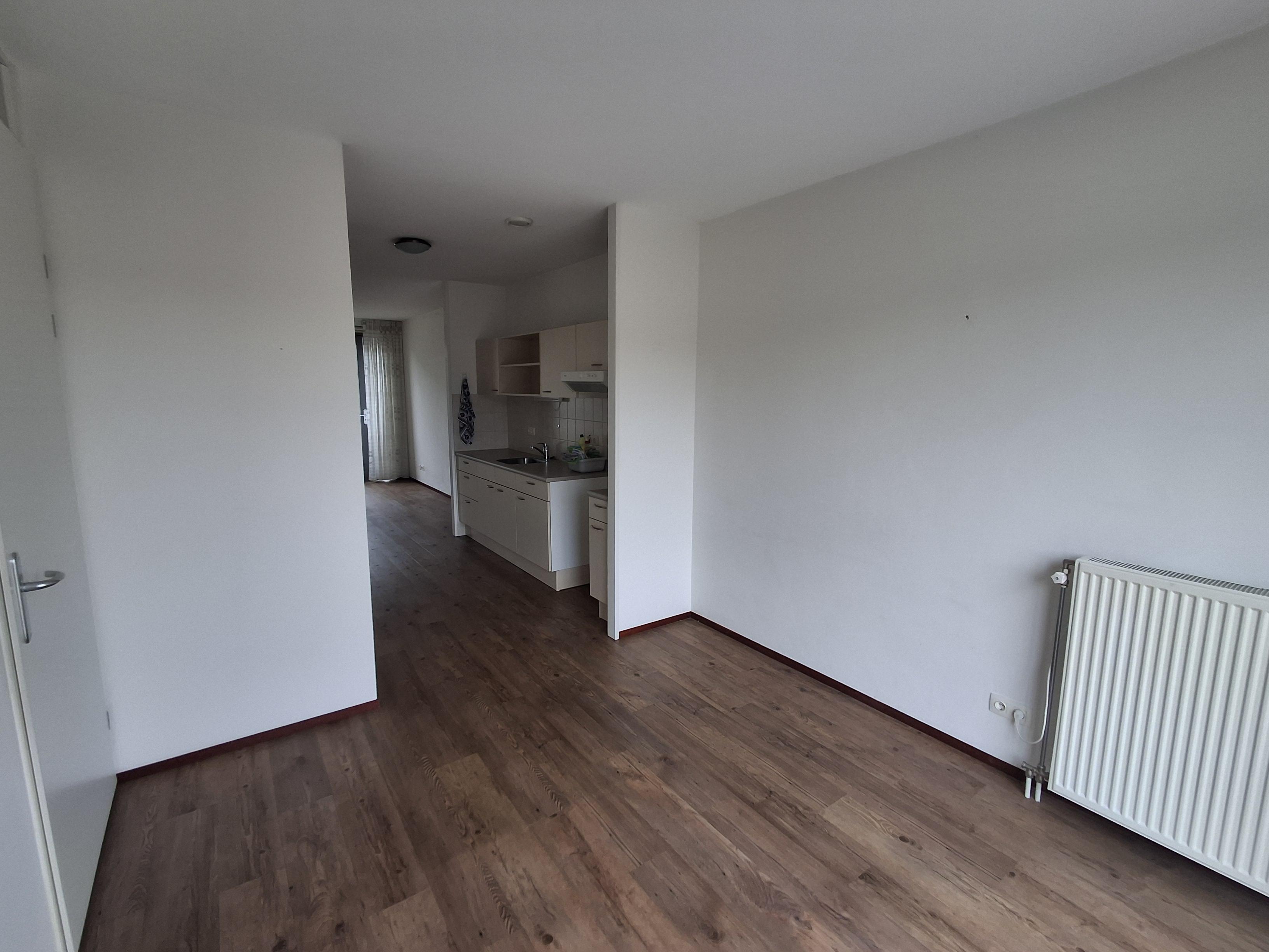 Olmenhof 46