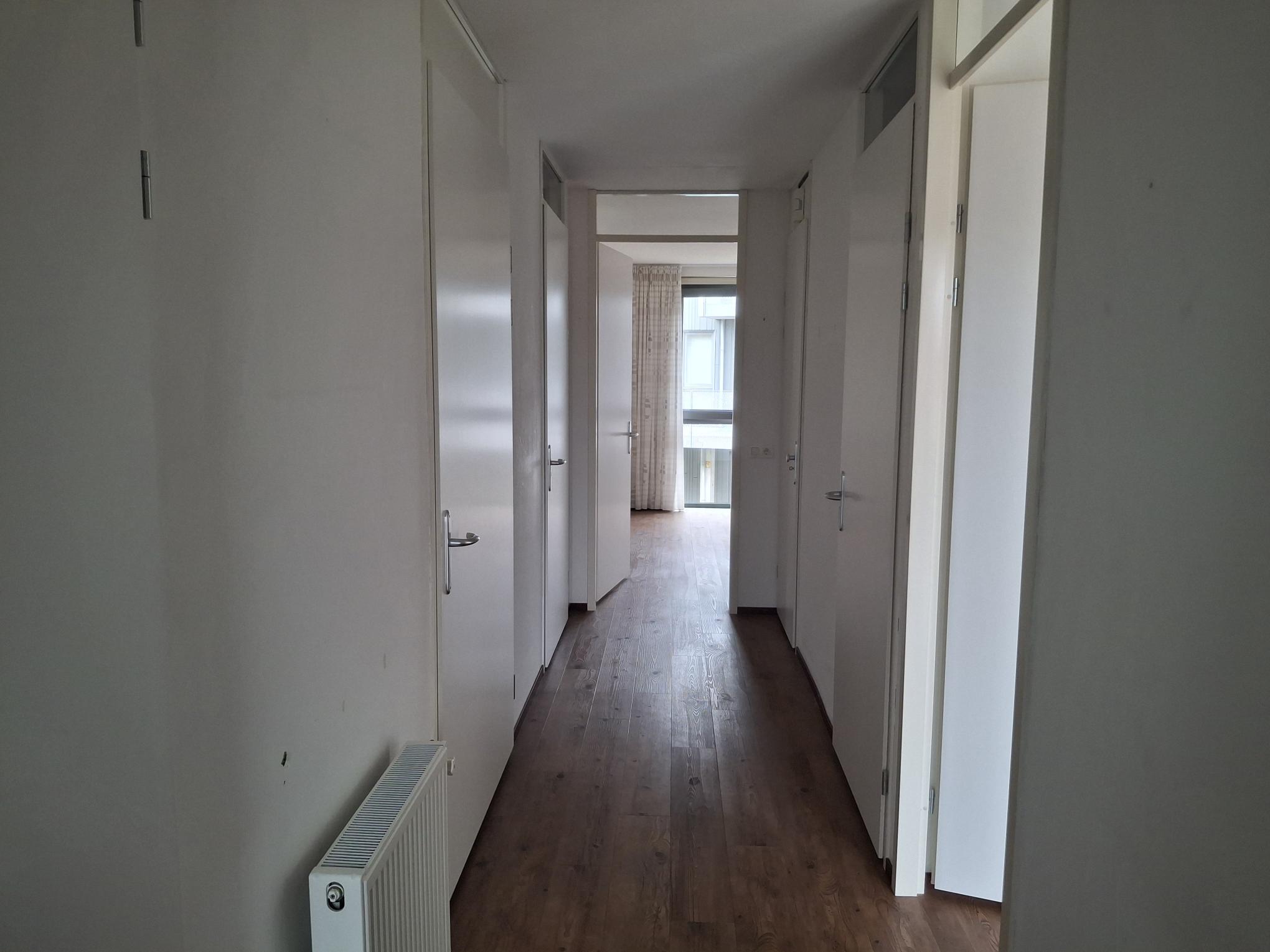 Olmenhof 46