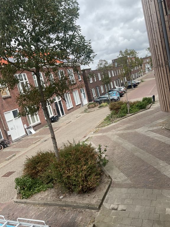 Verkuijl Quakkelaarstraat 88