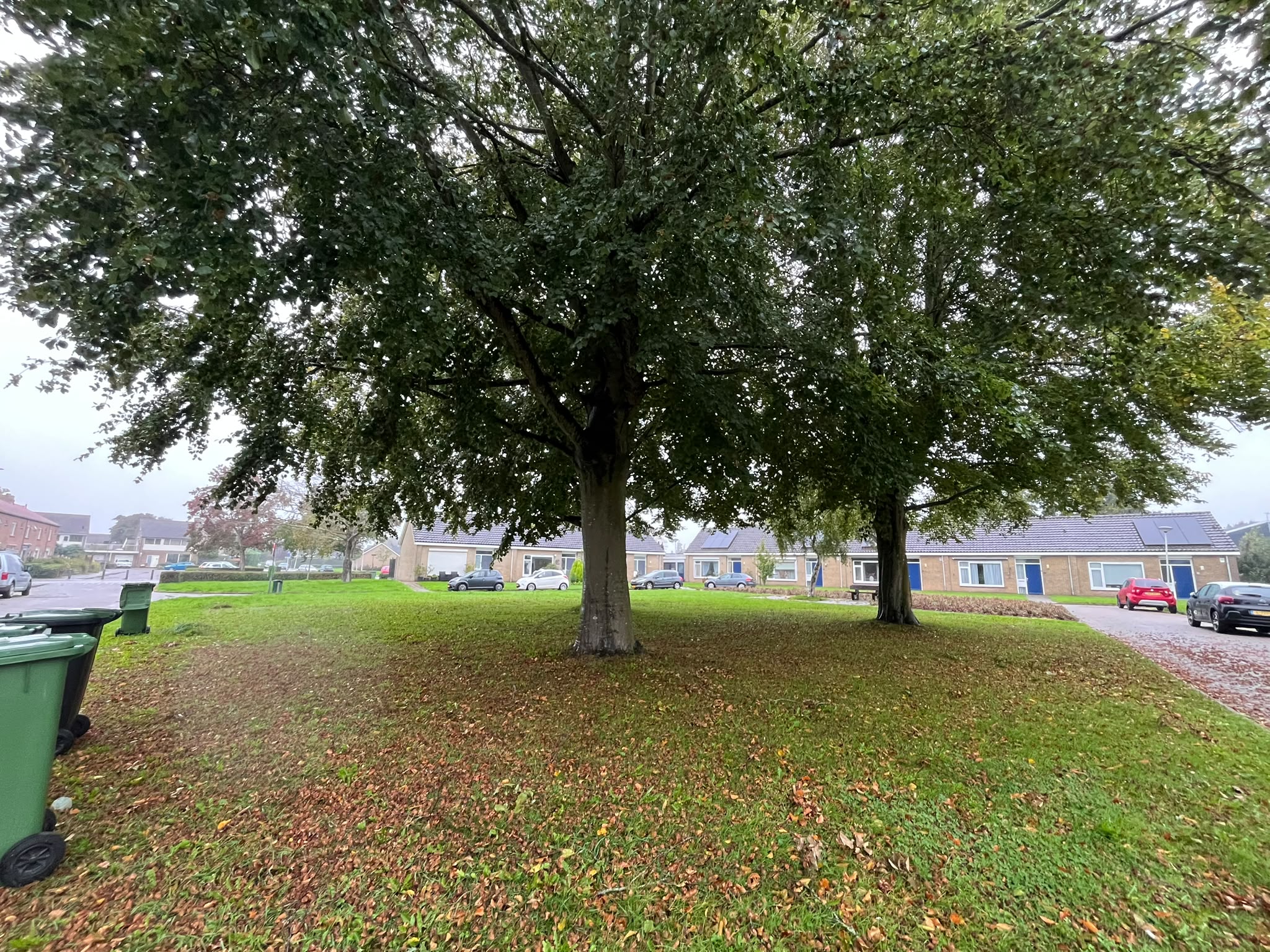 Hofplein 27