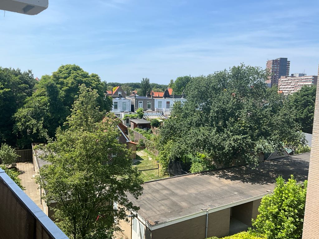 Hogeweg 57