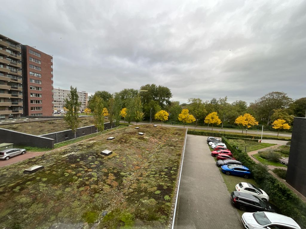Vredehoflaan 466